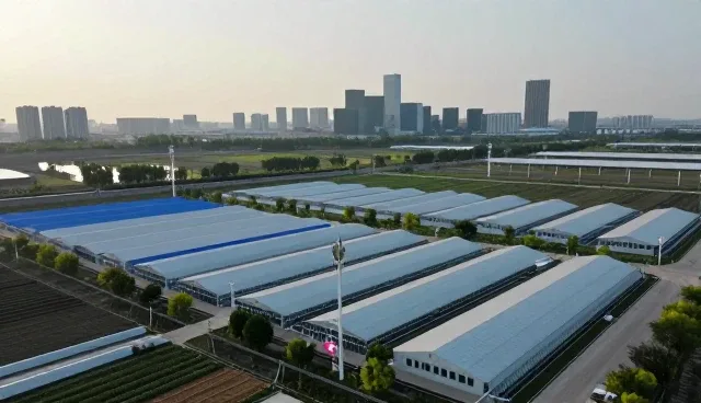 如何通过节点追踪优化应用开发流程
